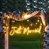 Just Married LED Neon Flex Sign