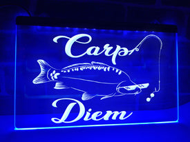 Carp Diem Illuminated Sign